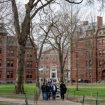 Kampus Harvard di Cambridge, Massachusetts, AS. (Foto: AFP/JOSEPH PREZIOSO)
